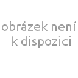 Obrázek pro produkt Rukavice SWIFT celomáčené nitriu